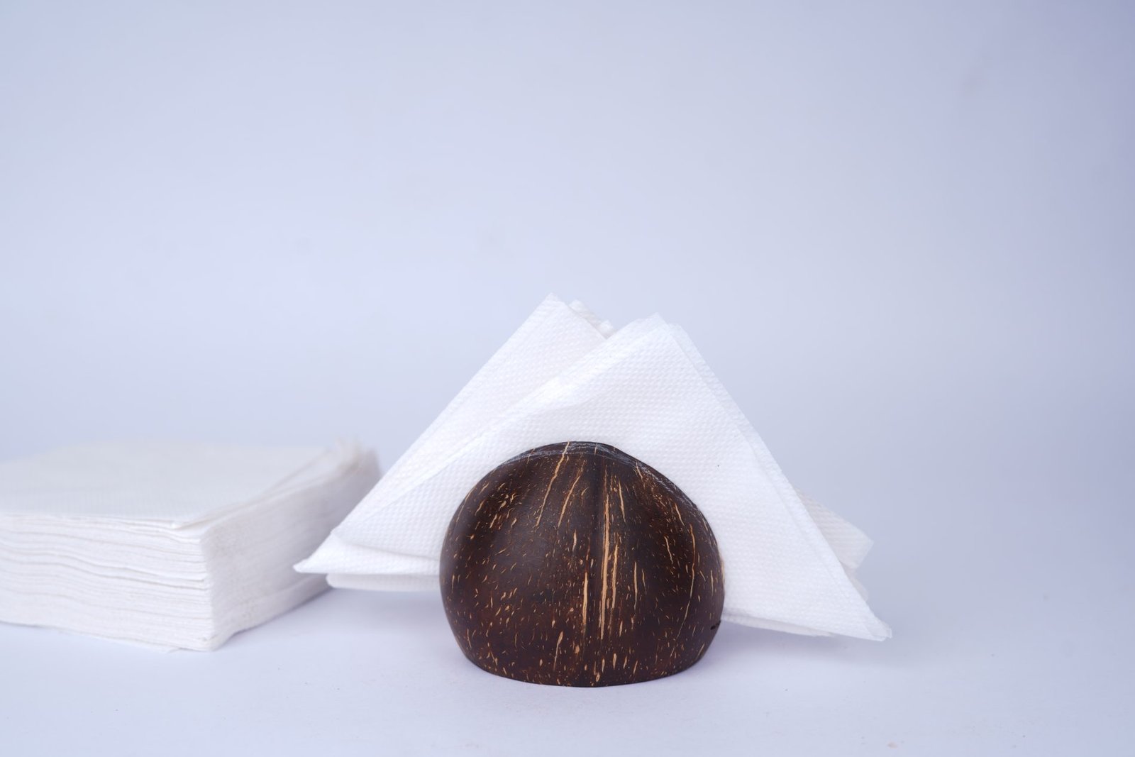 Handcrafted Coconut Shell Napkin Holder