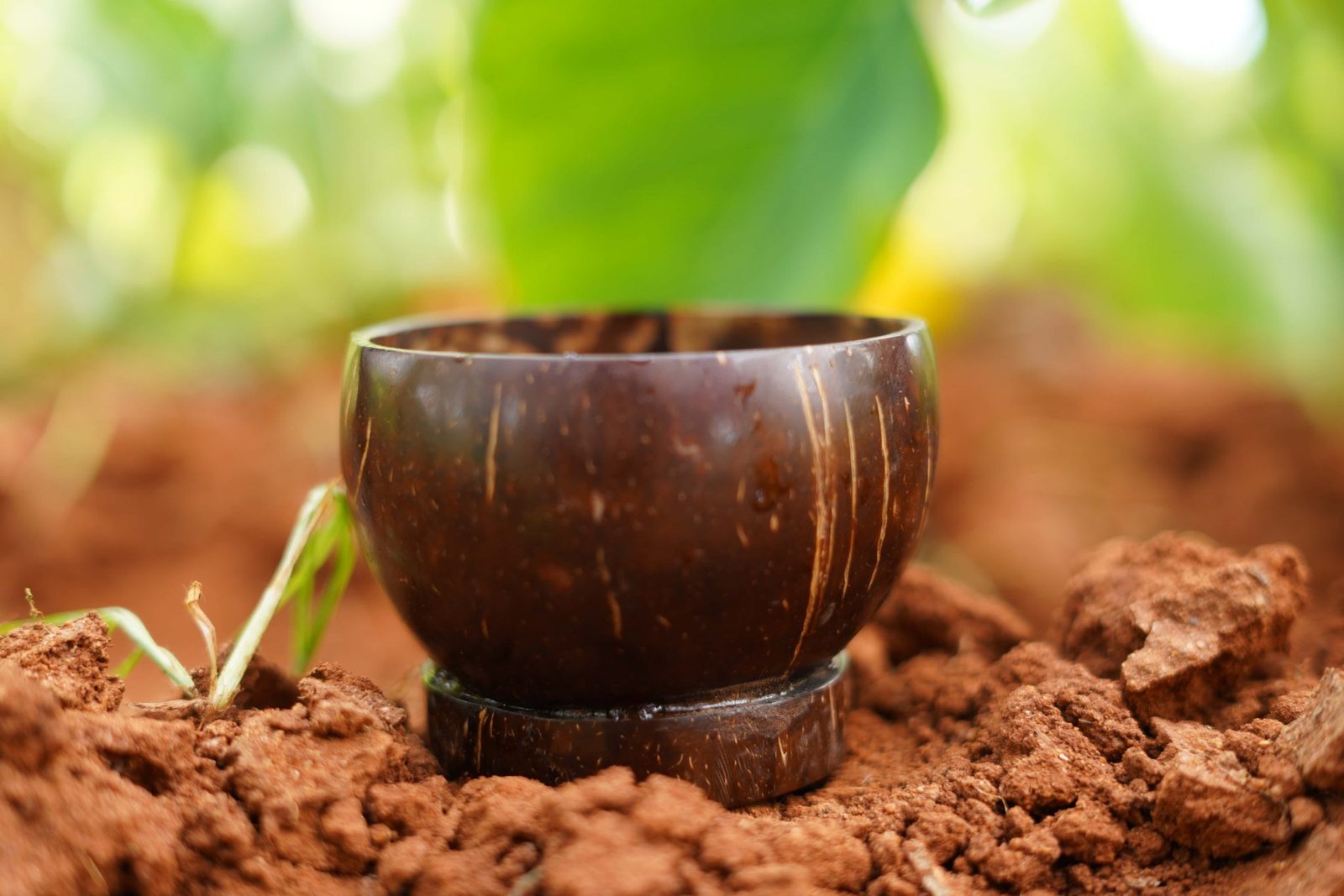 Handcrafted Coconut Shell Bowl