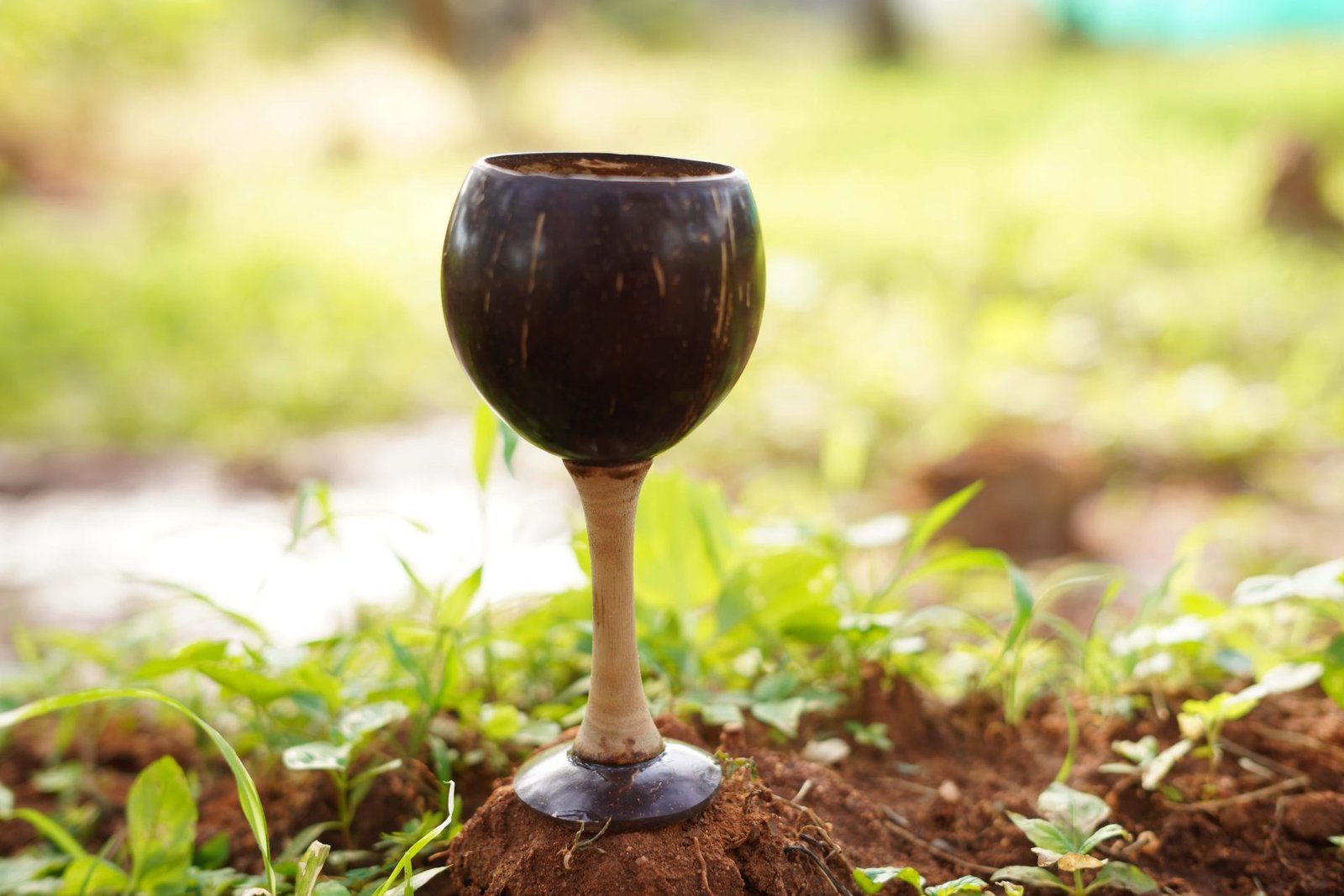 Handcrafted Coconut Shell Goblet