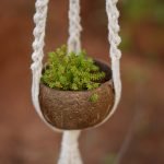 Handcrafted Coconut Shell Hanging Planter with Macramé